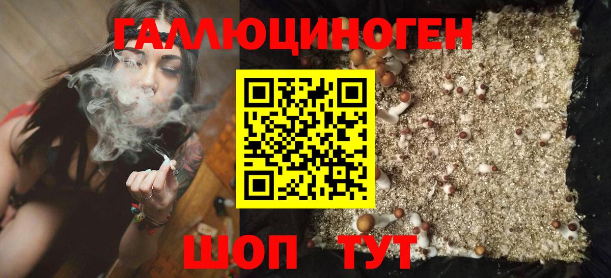 Галлюциногенные грибы Magic Shrooms Лосино-Петровский