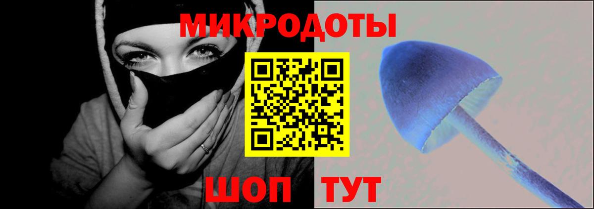 Лосино-Петровский  Псилоцибиновые грибы Cubensis  Вход с VPN 